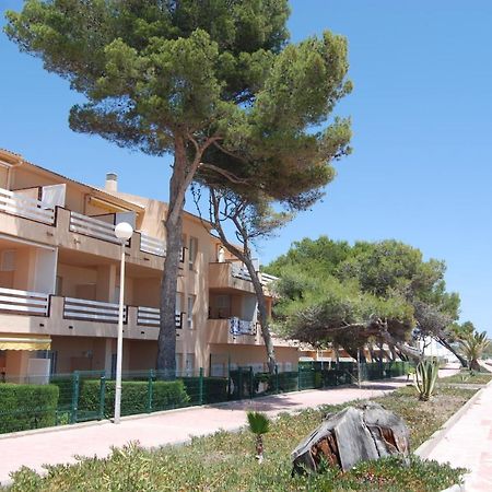 Zeus Guardamar Seaview Daire Miami Playa Dış mekan fotoğraf