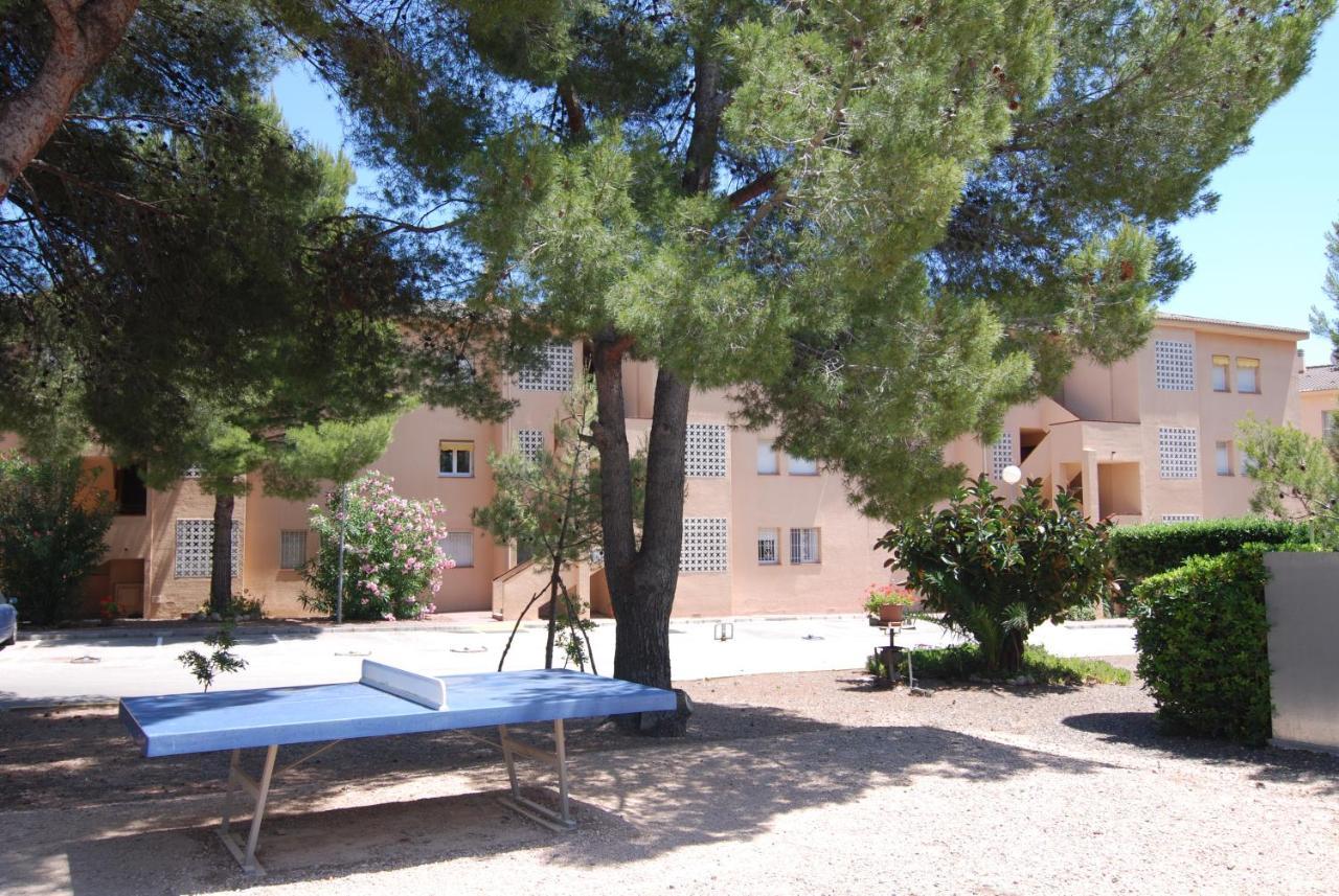 Zeus Guardamar Seaview Daire Miami Playa Dış mekan fotoğraf