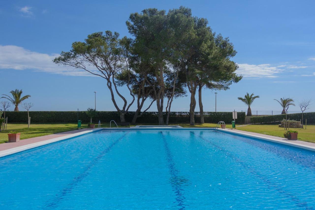 Zeus Guardamar Seaview Daire Miami Playa Dış mekan fotoğraf