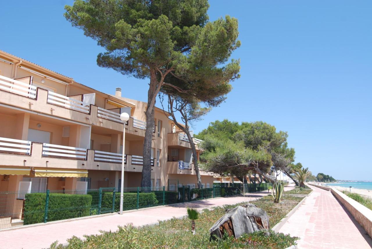 Zeus Guardamar Seaview Daire Miami Playa Dış mekan fotoğraf