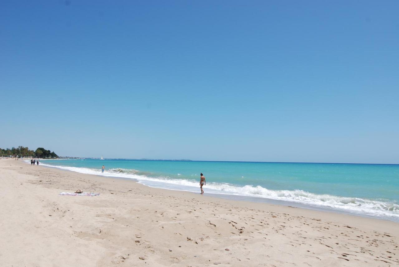 Zeus Guardamar Seaview Daire Miami Playa Dış mekan fotoğraf