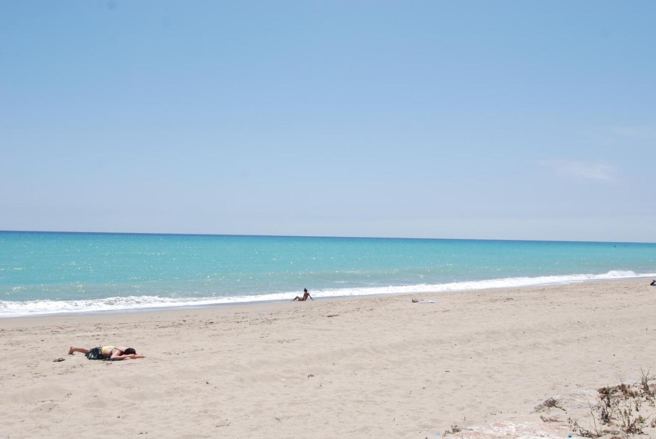 Zeus Guardamar Seaview Daire Miami Playa Dış mekan fotoğraf